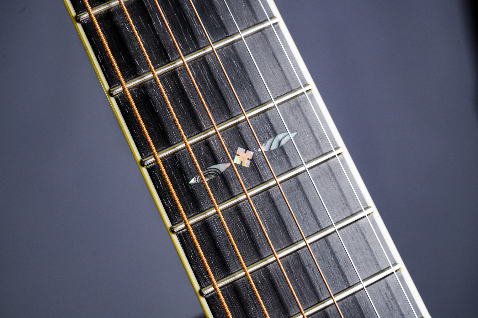 Fonzo Guitar Fonzo Guitar