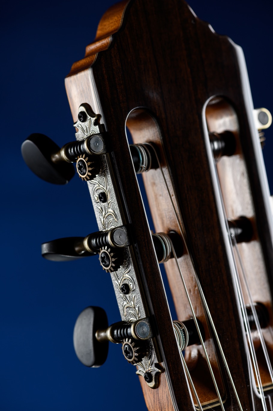 Fonzo Guitar Fonzo Guitar